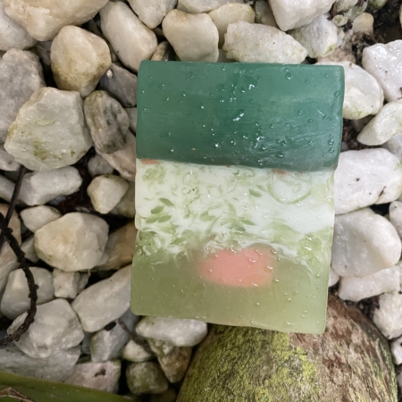 cactus body soap - BeautiesNest - Natural & Organic Moroccan Beauty Products