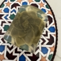 succulent body soap spinach 1 - BeautiesNest - Natural & Organic Moroccan Beauty Products