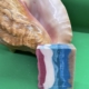 COCONUT PARADISE BODY SOAP 2 - Natural & Organic Moroccan Beauty Products - BeautiesNest