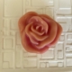 rosehip jasmine body lotion bar 2 scaled 1 - Natural & Organic Moroccan Beauty Products - BeautiesNest